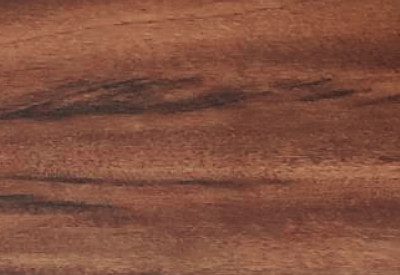 03-TV 203 Brazilian Tiger Wood