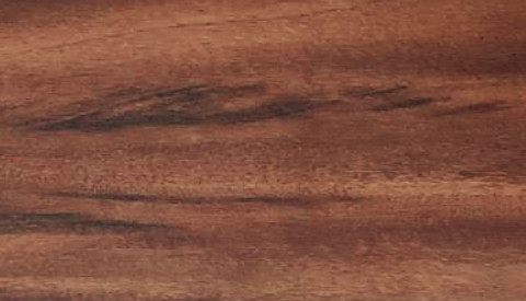 03-TV 203 Brazilian Tiger Wood